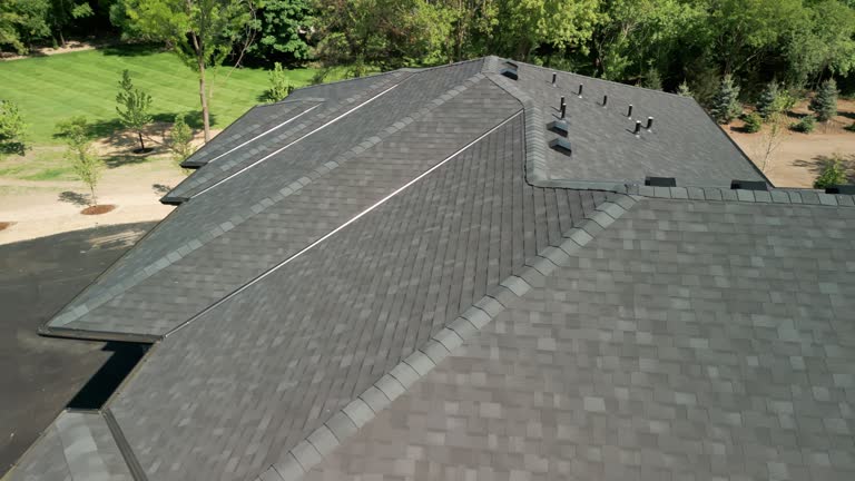 Best Roof Moss and Algae Removal  in Landing, NJ