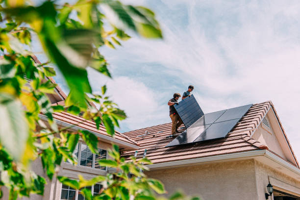 Best Roof Moss and Algae Removal  in Landing, NJ