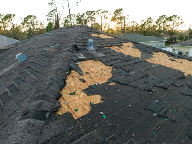 Best Gutter Installation and Repair  in Landing, NJ