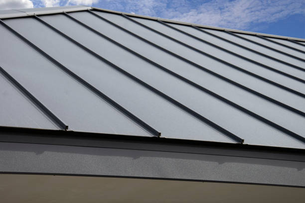 Best Roof Maintenance and Cleaning  in Landing, NJ